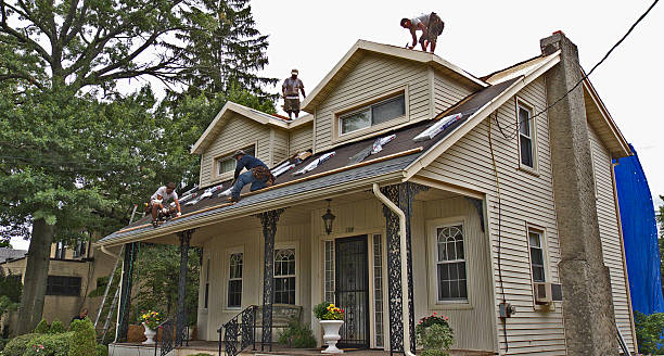 Best Roof Gutter Cleaning  in Continental, OH